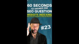 Google Indexing: How Long for Google to Index my Website? – SEO Conspiracy QA #Shorts