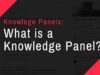 What is a Knowledge Panel?, Brand SERP, Building your Brand